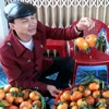 la.tuan73