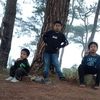 joyjoyabatpedile3