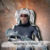 apachevalera