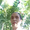 _emirensiana12