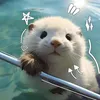 𝐒𝐨 𝐂𝐮𝐭𝐞