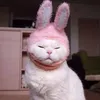 m_xvrillx