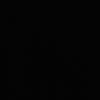 snaui2
