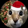 toni_bth21