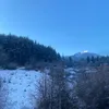 alan_12345598