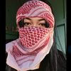 swdmshela7