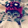 spiderrrwmnn