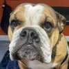 gracie05gg
