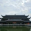 hoavangcoxanh1211811222