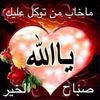 user2816670882512