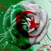 user5183619380012