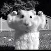 linuskskv