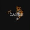 haseeb30935