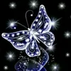 user5181075988852