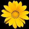 user834194616