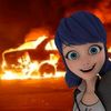 ladybug_.473