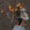 cam_8b