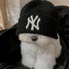 dogmusically_