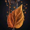 user1940631477256