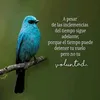 segundoportal6