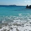 fromthesea123