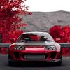 danil_stark_