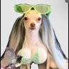 andrew_12984