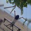 user5305618112876