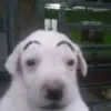 empanadas._.hola