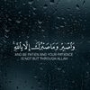 nadahamze6