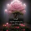 user9751283357232