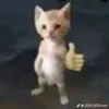pro79799999