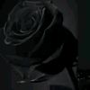 asqien_