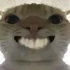 hhhhh3000o