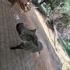 3v3rything001_za