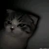 monski.1