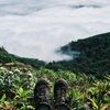 intothewild95
