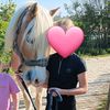 mopsterlover