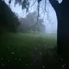 ccqro_