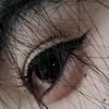 md.rakib8920
