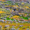 seyfidersim3