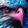 davidebuttitta7