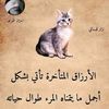 user1096136838583