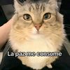 reytilin32_
