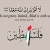 med.zein94