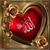 user7479504007774