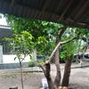 anikotakan