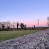 chloexconneely0