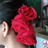 laelaewin557