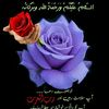mohsenalil786